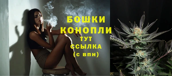 стаф Заводоуковск
