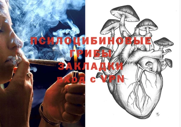 стаф Заводоуковск