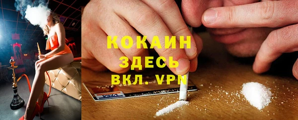 стаф Заводоуковск