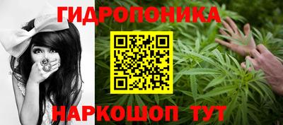 гидра Жуковский