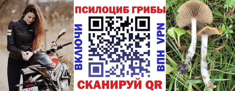 Галлюциногенные грибы Cubensis  Заринск 