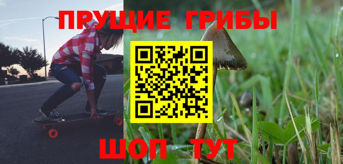 Галлюциногенные грибы ЛСД  магазин    Заринск  Вход с VPN 