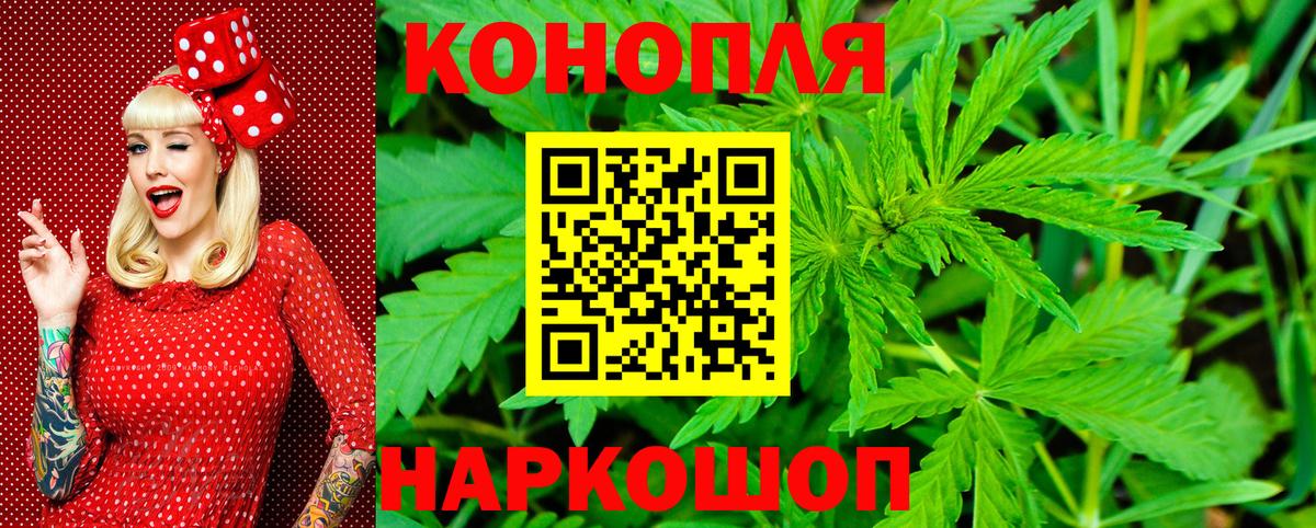 Бошки марихуана планчик Заринск